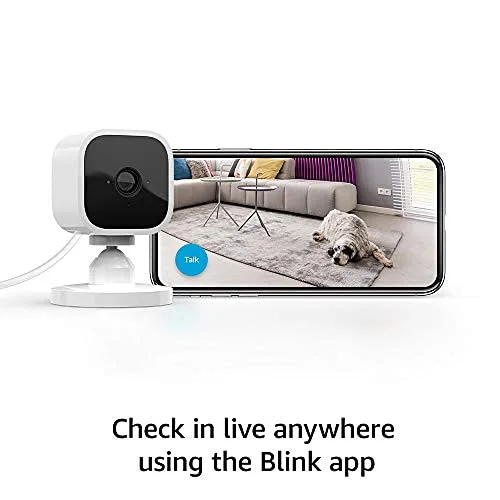 What is Blink Dog Camera