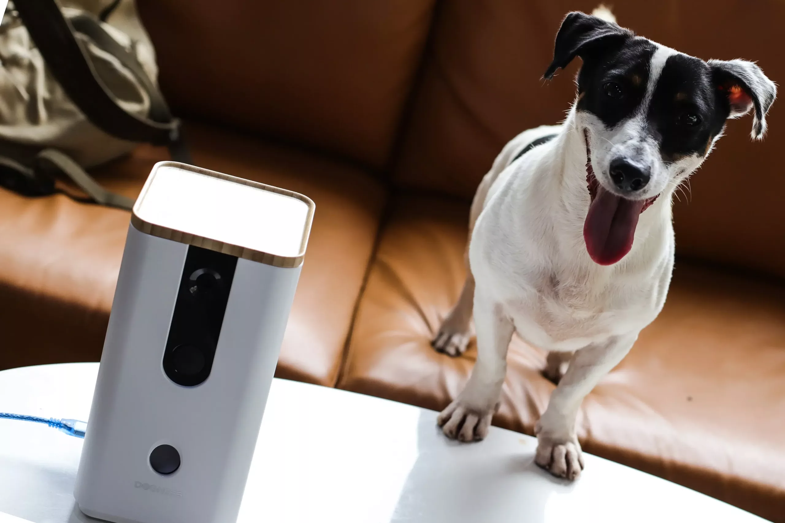 What is Dogness Smart Camera Treater